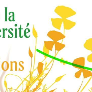 La fête de la biodiversité et des transitions samedi 3 août 2024 au Lac de Gurson